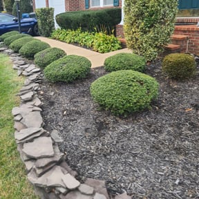 Bush Trimming by Grasman LLC reviewed on August 15, 2025