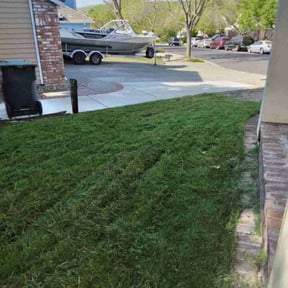 turf maintenance by Scott's Landscape and pool service reviewed on June 5, 2025