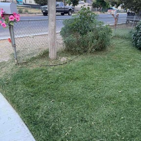 lawn service by House 2 House Place 2 Place reviewed on April 13, 2024