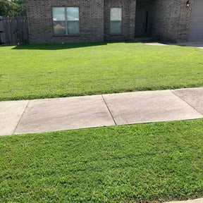 landscaping by Fordson Lawn Care reviewed on August 17, 2025