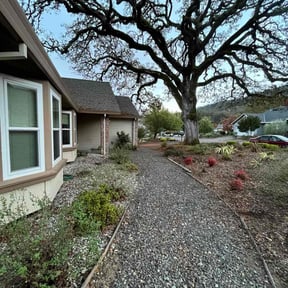 Leaf Removal by Swag Express reviewed on November 8, 2025