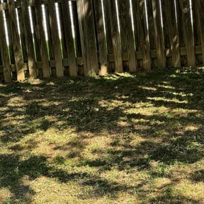 Leaf Removal by Big Tex Distributions Llc. reviewed on August 15, 2025