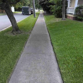 landscaping services by Holland Lawn and Home Services reviewed on August 15, 2025