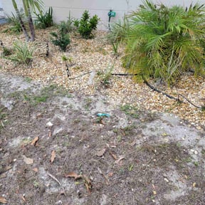 Flower Bed Weeding by Forever Green FG LLC reviewed on August 18, 2025