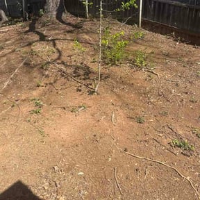 Leaf Removal by Flores Garden Landscapes reviewed on July 1, 2026