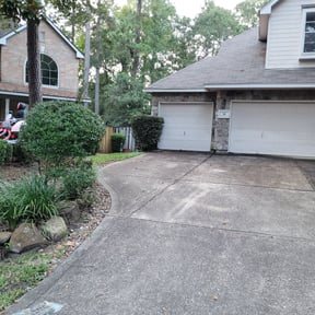 Bush Trimming by Mills Landscaping reviewed on August 19, 2025