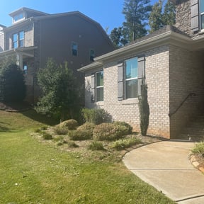 Bush Trimming by Mowasis Lawn Care Services reviewed on August 18, 2025