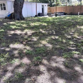 Leaf Removal by Felicianos Lawn Maintenance LLC reviewed on September 15, 2025