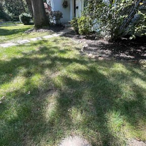 Flower Bed Weeding by Andersen landscaping & Design reviewed on August 15, 2025