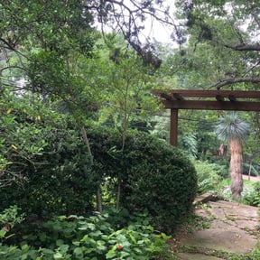 Bush Trimming by Top tier landscaping reviewed on August 17, 2025