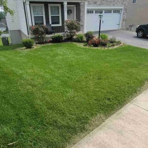 landscaping services by Pure Lawn Care reviewed on August 16, 2025