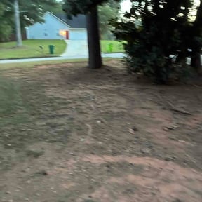 Leaf Removal by YB Cool Cutz reviewed on August 28, 2026