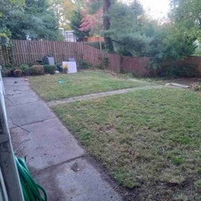 Leaf Removal by Endurance Ranch reviewed on September 29, 2025