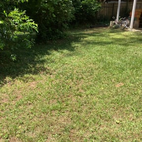 Leaf Removal by Ozy Lawn Care and Landscaping reviewed on September 15, 2025