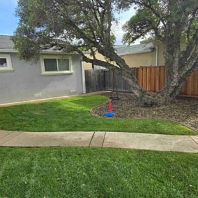 landscape maintenance by Nextdoor Lawn Services LLC reviewed on August 19, 2025