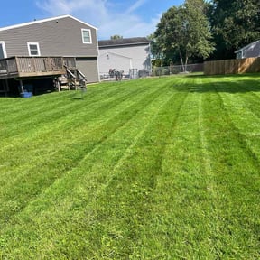 grass maintenance by Grass Care By the Beach reviewed on May 25, 2024
