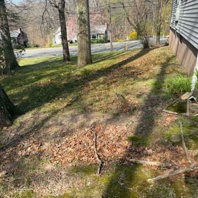 Leaf Removal by Electric City Lawn Care LLC reviewed on April 22, 2026