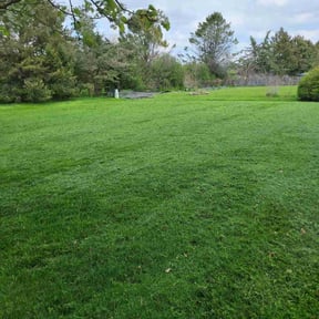 landscaping services by Land Elements inc reviewed on August 20, 2025
