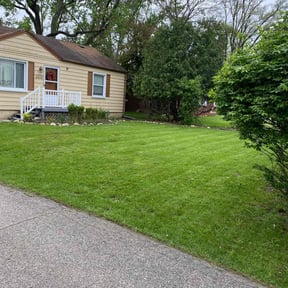 gardening service by electric landscaping llc reviewed on August 15, 2025