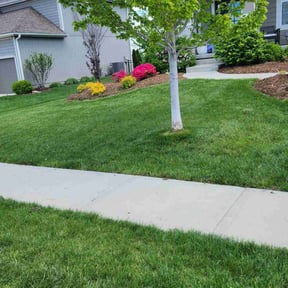 yard service by M A R Property Maintenance LLC reviewed on August 15, 2025