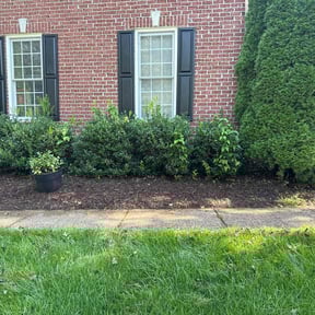 Flower Bed Weeding by Cutting Edge Outdoor work LLC  reviewed on June 8, 2022