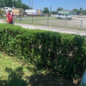 Bush Trimming by Dee lawn service reviewed on August 20, 2025