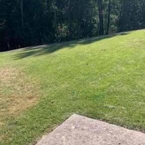 Bush Trimming by Commerce Development Partnership LLC reviewed on August 17, 2025