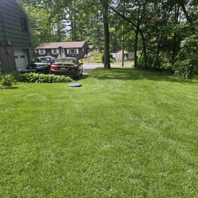 landscaping services by Red Hot Lawn Service reviewed on June 18, 2025