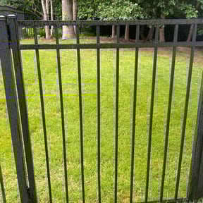 yard care by Hugheslandscaping reviewed on August 18, 2025