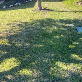 yard work by Supreme lawn king SLK reviewed on August 16, 2025