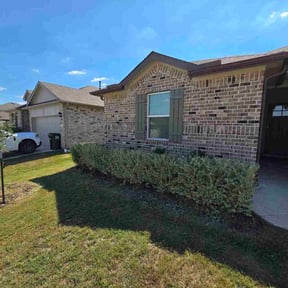 Bush Trimming by I Love Mowing reviewed on October 21, 2025