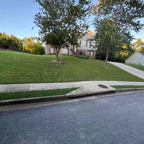 gardening service by Big Red Landscaping LLC reviewed on August 20, 2025
