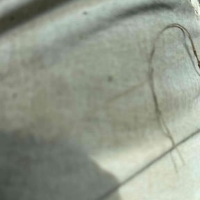 Bush Trimming by Otto lawnmower reviewed on August 21, 2025