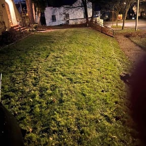 Leaf Removal by JM Mowing reviewed on September 10, 2025