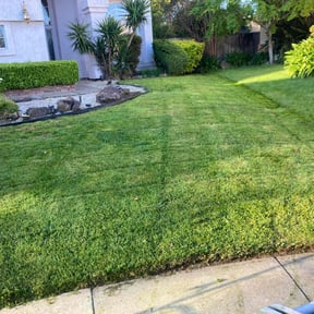 landscape maintenance by Jim's Lawn Service reviewed on August 20, 2025