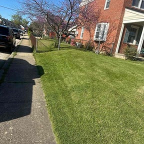 grass cutting by A Gaines lawncare & landscaping LLC reviewed on September 9, 2023