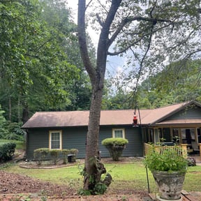 Bush Trimming by Paul&#039;s lawn mowing and more reviewed on November 21, 2025