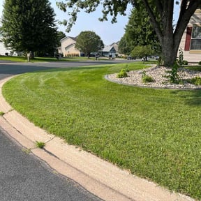 Leaf Removal by DWillPower reviewed on July 20, 2022