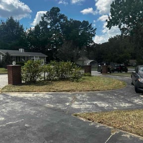 Bush Trimming by Yards Done Daily reviewed on November 23, 2025