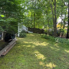 Bush Trimming by FLA Mowers LLC reviewed on August 18, 2025
