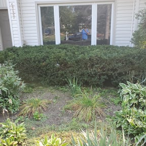 Bush Trimming by S and R Lawn Care reviewed on November 22, 2025