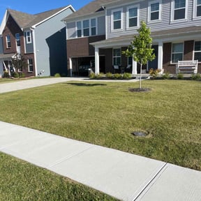 lawn care by Babcock Enterprises LLC reviewed on November 7, 2023