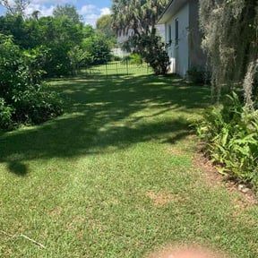 lawn maintenance by Wichi landscaping reviewed on March 8, 2025