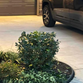 Bush Trimming by Green coqui lawn services reviewed on August 15, 2025