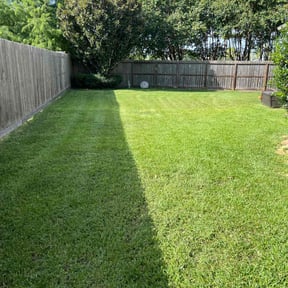 yard maintenance by Alawnso Services reviewed on December 2, 2025