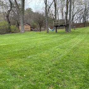 yard service by Elegant Lawn & Landscaping LLC reviewed on August 18, 2025
