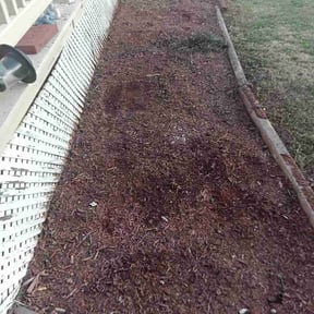 Flower Bed Weeding by Kut N Trim reviewed on March 20, 2026