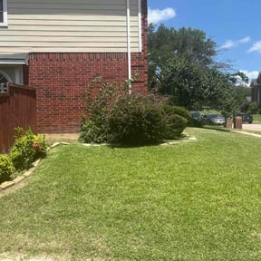 lawn care services by Gomez Property  Maintenance reviewed on August 21, 2025