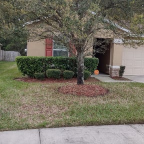 Bush Trimming by Soto landscaping reviewed on August 21, 2025