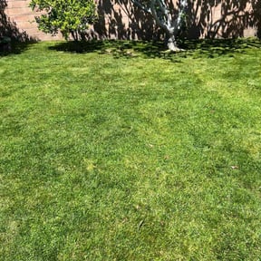 lawn care services by Jason&#039;s Home Service&#039;s LLC reviewed on May 23, 2022